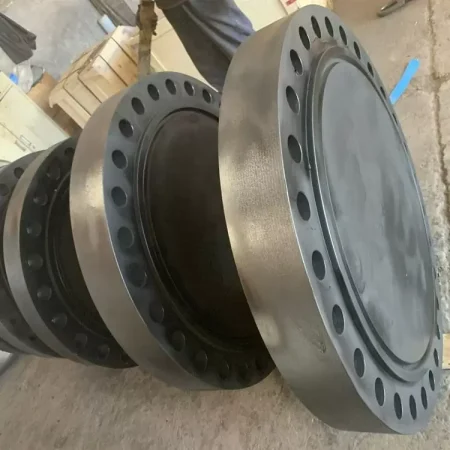 Carbon Steel Flange (10)